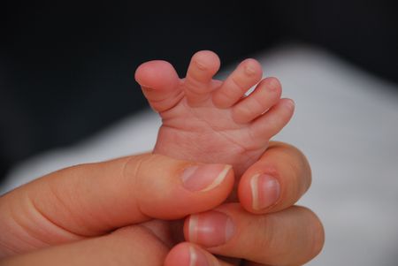 Baby little footの写真素材