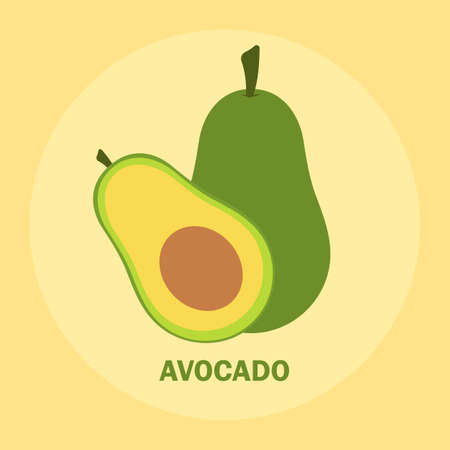 Fresh avocado vector png for icon and clipart in yellow background fruitsのイラスト素材