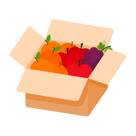 Fresh fruits in cardboard box. Delivery from grocery store. Illustration in flat style. Various Fruits, apple, orange, grapesのイラスト素材