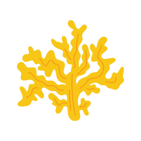 Had drawing yellow algae, sea grass, underwater seaweed plants and coral. Vector illustration design elements collection on a white backgroundのイラスト素材