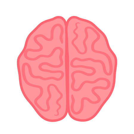 Flat Human brain Healthy internal organ, anatomy. Vector cartoon flat icon illustration isolated on white backgroundのイラスト素材