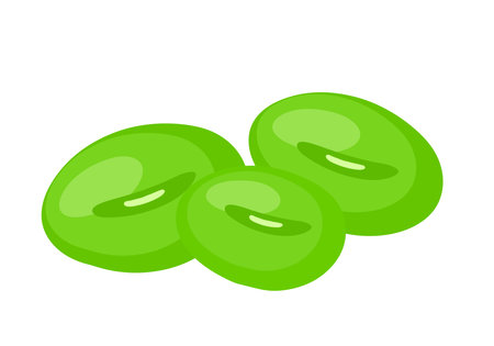 Fresh edamame beans japanese food clipart icon cute vector vegetable soy bean isolated on white backgroundのイラスト素材