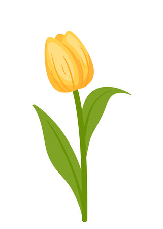 Beautiful yellow tulip blossom flowers drawing icon clip art cartoon vector illustration isolated on white backgroundのイラスト素材