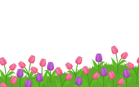 Grass with Tulip Flowers Horizontal Border Meadow isolated on white background for Nature Garden Park Banner Element Decorationのイラスト素材