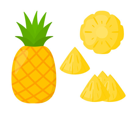 Flat cartoon Pineapple and Slices Set Collection Tropical Summer Fruit Icon clip art vector illustration design for kids and children books for learning fruits and alphabetのイラスト素材