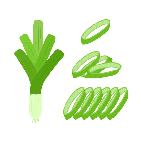 Fresh Leek Root and Leek slices Vegetable Cartoon Vector Icon Illustration Food Nature Graphic Design Isolated on Transparent Backgroundのイラスト素材