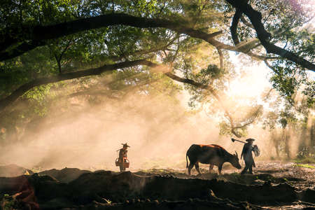 Yangjiaxi Village sunrise scenery, Xiapu, Fujian Province, Chinaのeditorial素材