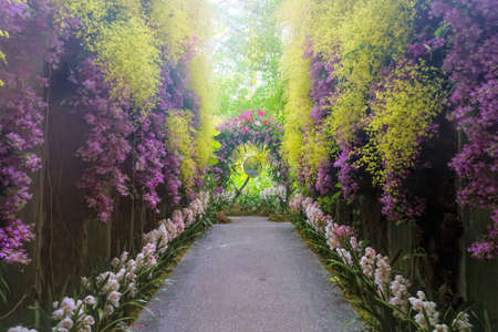 Pathway in the garden with beautiful purple and pink flowers in spring