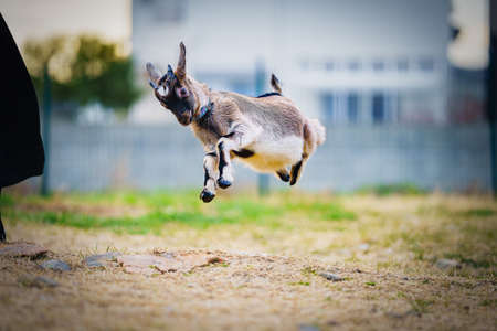 Children's Book Forest Library in Osakaの写真素材