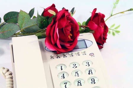 telephone and Roseの写真素材