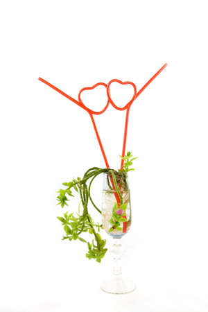 Plant and straws in glassの写真素材