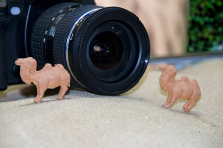 camera lens and camel model on the sandの写真素材