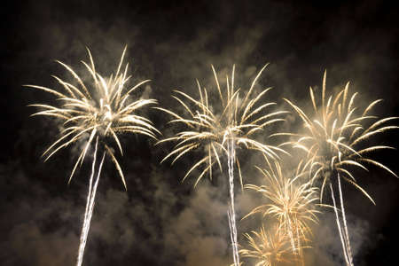 Bright Beautiful Colorful Fireworks