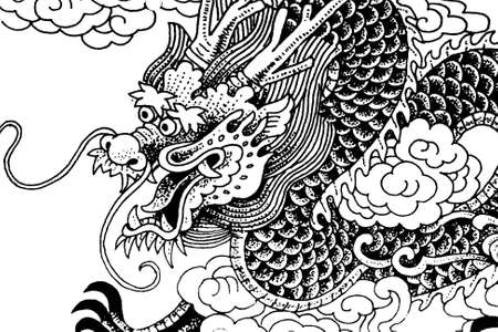 chinese dragon with white background  の写真素材