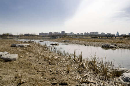 sunny winter and autumn in Central Park£¬Beijing Cityの写真素材