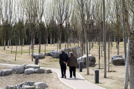 Senior couple walking at the city park