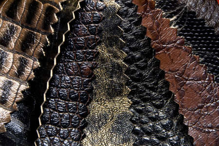 Colorful leather patterns on displayの写真素材
