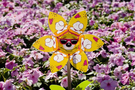 Colorful Toy Windmill in the flowers の写真素材