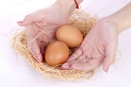 a nest with chicken eggs in the handsの写真素材