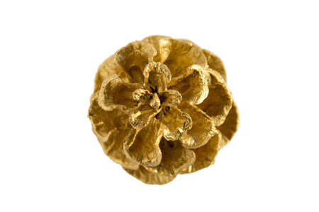 golden pine cones isolated on a white backgroundの写真素材