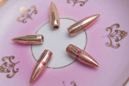 bullet sleeve weapon war army hunting shoot fire-armsの写真素材