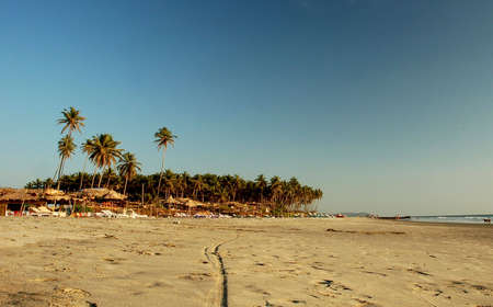 coconut palm water nature blue sky environment sea wave surf idyllic summer beach sand landscape ripple extreme light resort water-drop non-urban rural plant sunlight travel climate goodness natural tropical paradise treeの写真素材
