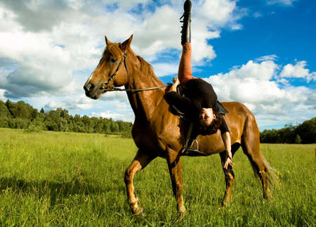 horseの写真素材