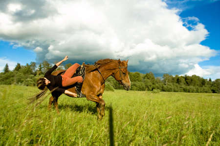 horseの写真素材