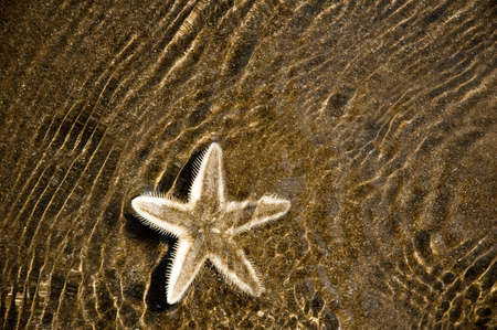 Indiaの写真素材