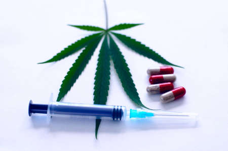 Cannabisの写真素材