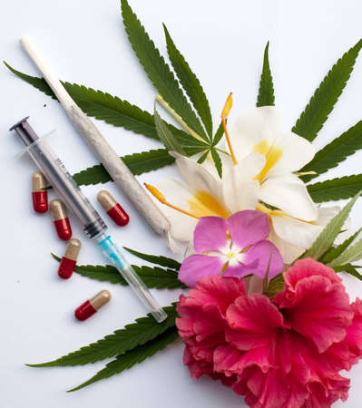 Cannabisの写真素材