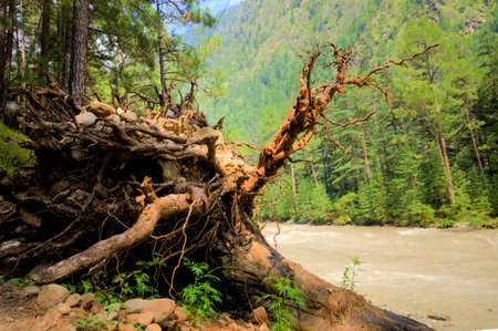 Parvati Valley, North Indiaの写真素材