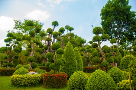Exotic botanical garden in the North of  Thailand