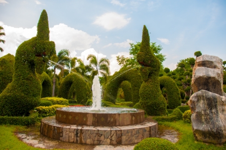 Exotic botanical garden in the North of  Thailandの写真素材