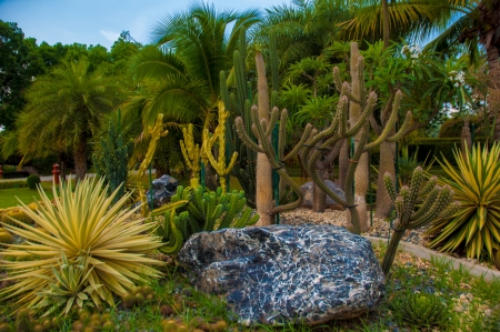Exotic botanical garden in the North of  Thailandの写真素材