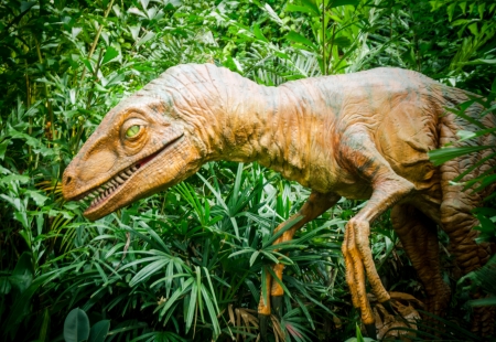 Jurassic zoo park in Chinaのeditorial素材