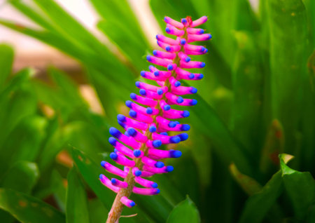 Thailand Botanical Garden