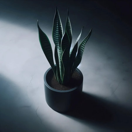 Snake Plant in Black Planter, Ai generated imageの写真素材
