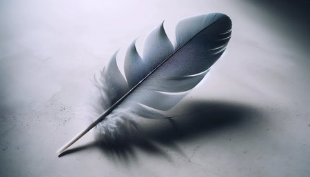 The symmetrical feather, AI generated image