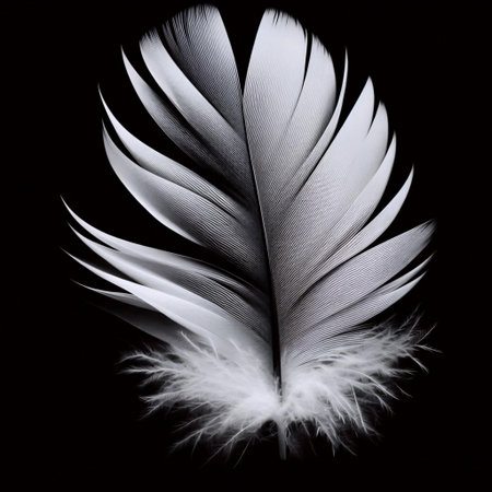 A minimalist single feather with golden light on dark background, Ai generated imageの写真素材