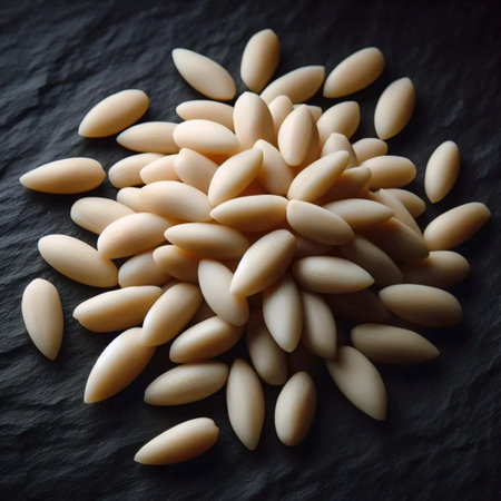 A handful of pine nutsの写真素材