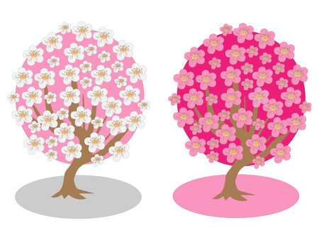 vector illustration blooming spring trees apple and cherryのイラスト素材