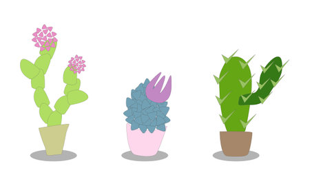 vector illustration set of cacti in pots, stylized imageのイラスト素材