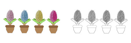 vector illustration coloring book set of colorful gladiolus in pots. An outline black and white drawing and a color version for an exampleのイラスト素材