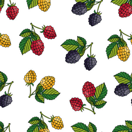 vector illustration seamless pattern of summer berries. Red and yellow raspberries and blackberriesのイラスト素材