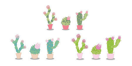 vector illustration set of stylized indoor cacti. Flowering succulents in pots - options in different colors.のイラスト素材