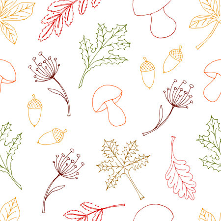 vector illustration of a seamless pattern doodle contour autumn leaves, mushrooms and acorns on a white backgroundのイラスト素材
