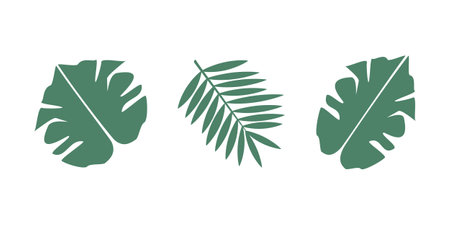 Set of tropical palm leaves - vector flat illustration for stickers, design, cards.のイラスト素材