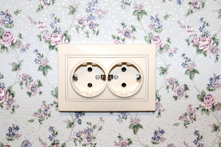 Electric double beige socket on the wall of the room in the house, Provence style wallpaper -...