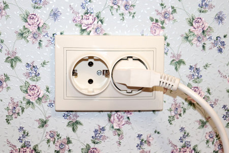 Electric double socket with electric plug on the wall of the room in the house, provence style...